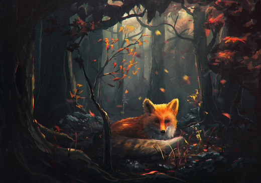 914347 (a): :2040x1434